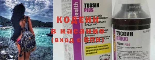 прущие грибы Аркадак