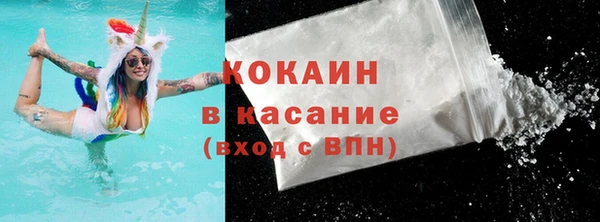 прущие грибы Аркадак