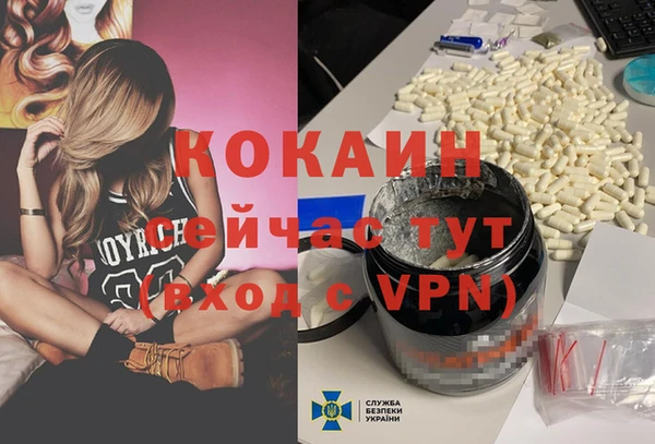 прущие грибы Аркадак