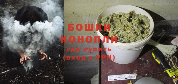 прущие грибы Аркадак