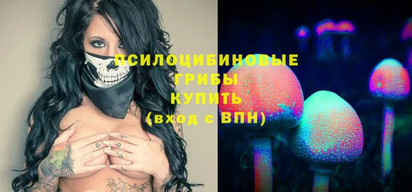 прущие грибы Аркадак
